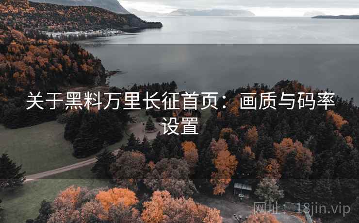 关于黑料万里长征首页：画质与码率设置