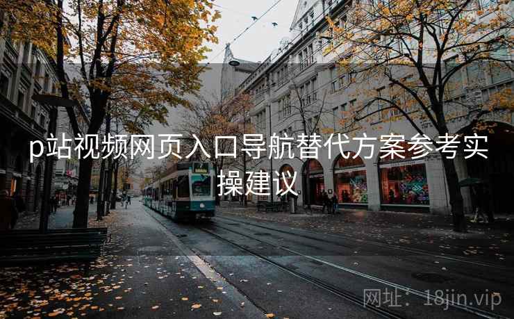 p站视频网页入口导航替代方案参考实操建议