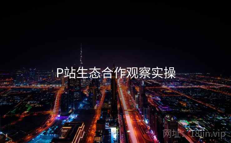 P站生态合作观察实操