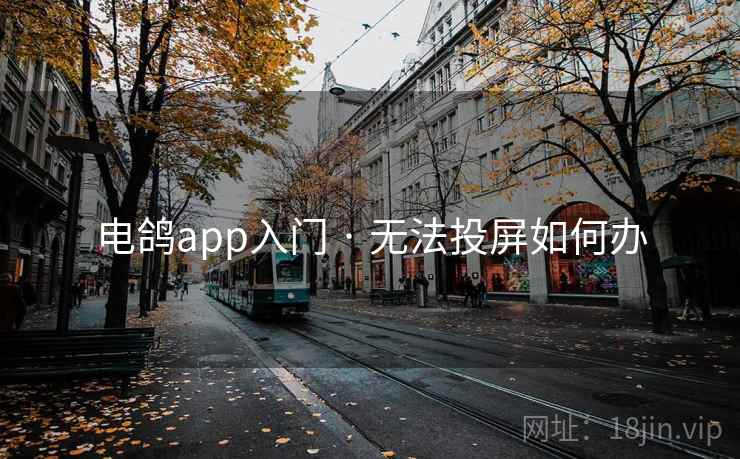 电鸽app入门 · 无法投屏如何办