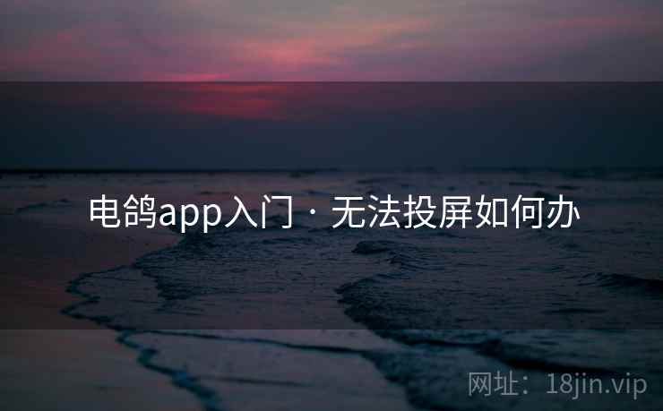 电鸽app入门 · 无法投屏如何办