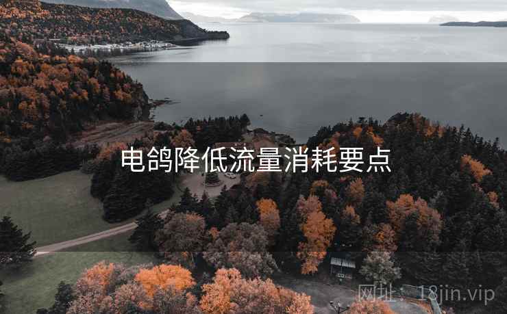 电鸽降低流量消耗要点
