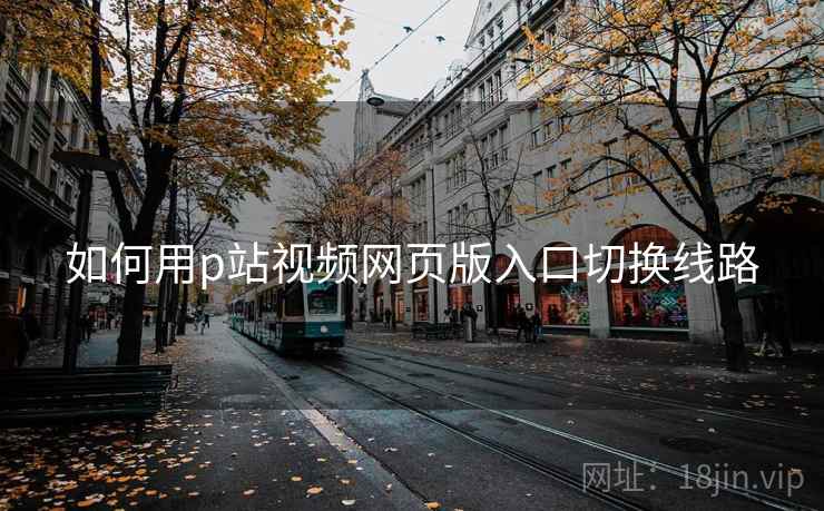 如何用p站视频网页版入口切换线路